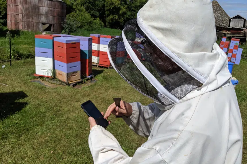 The buzz: Where beekeeping, technology intersect in Saskatchewan