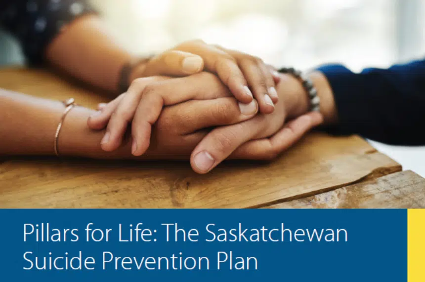 Province introduces Pillars of Life suicide prevention plan