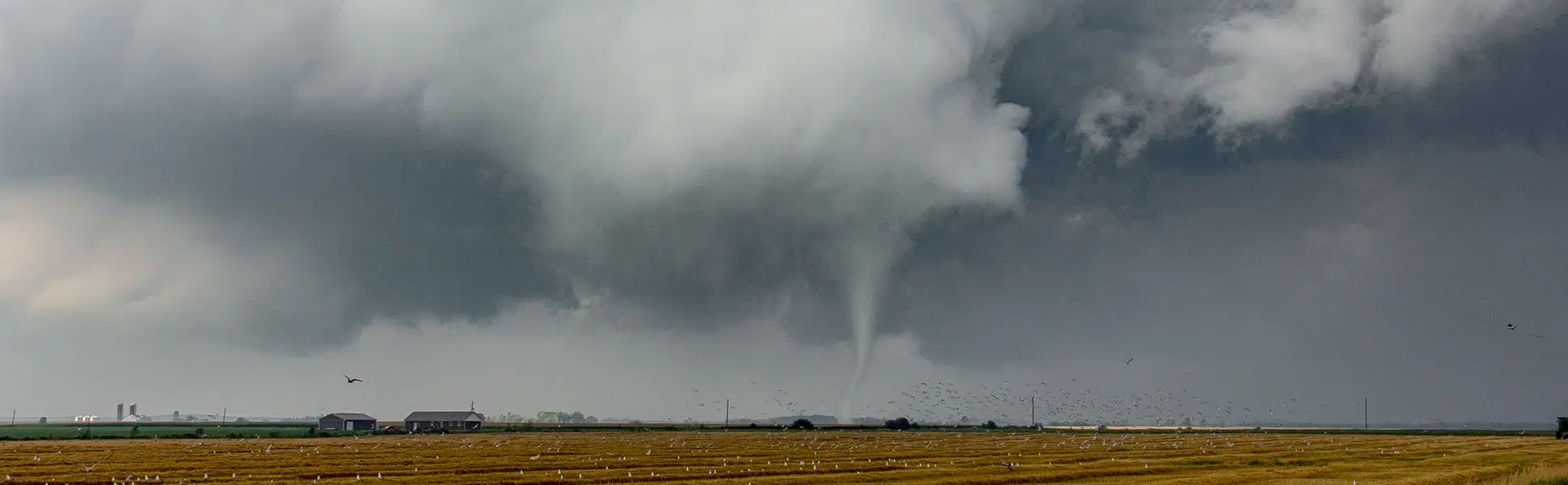 Ontario based "Northern Tornadoes Project" calling on citizen scientists to report tornadoes this summer