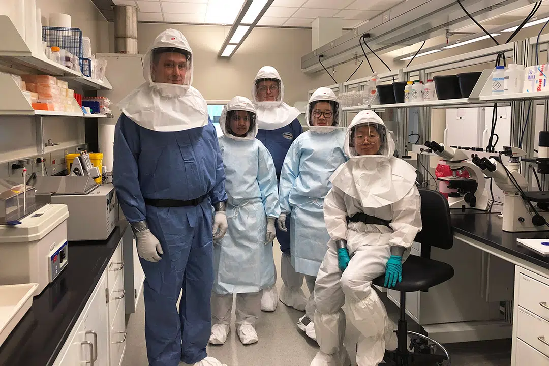 Saskatoon's VIDO-InterVac fundraising to become Canada's Centre for Pandemic Research