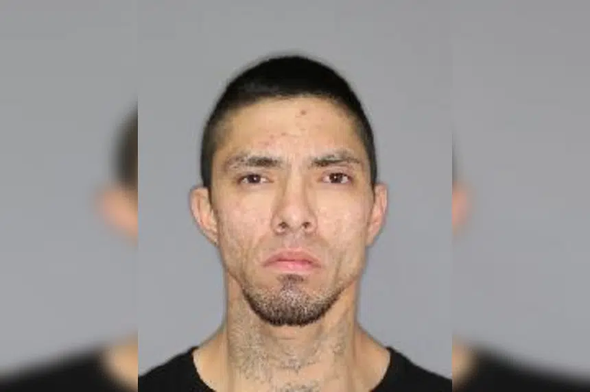 Warrant issued for suspect in Saskatoon's 12th murder of the year