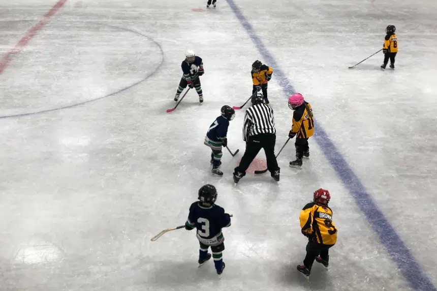 Martensville Minor Hockey 'pressing pause' on operations following COVID rise in community