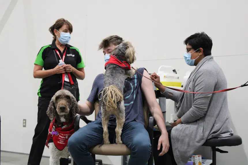Pooches looking to support anxious vaxxers at Prairieland Park