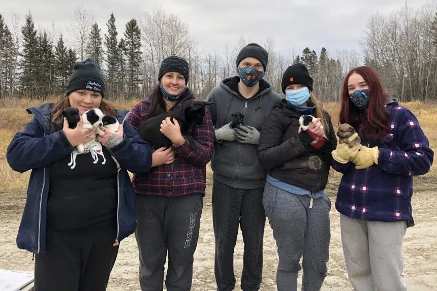 Saskatoon Dog Rescue desperate for more adoptions