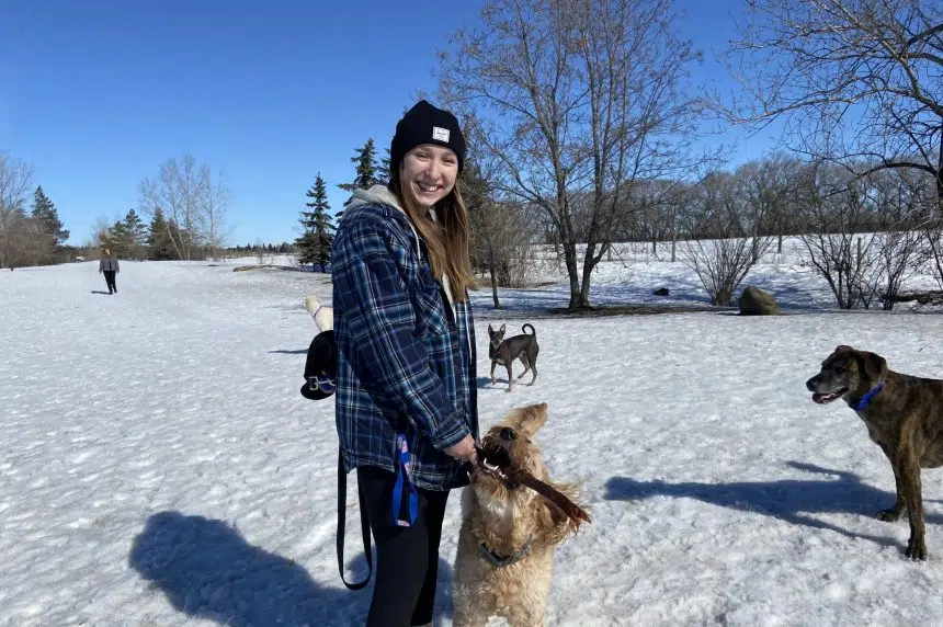 Dog owners prepare for messy dogs with spring conditions arriving