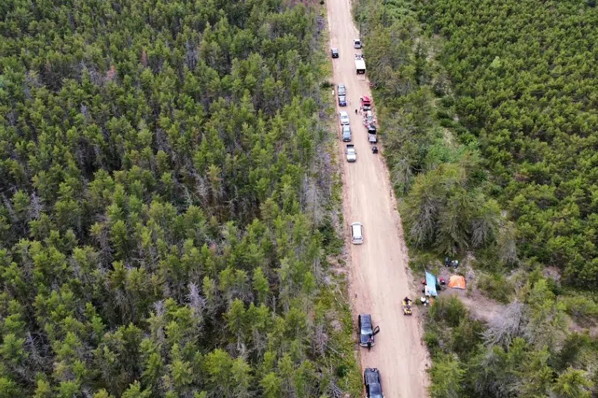 No results in hunt for missing mushroom picker despite high-tech search: RCMP