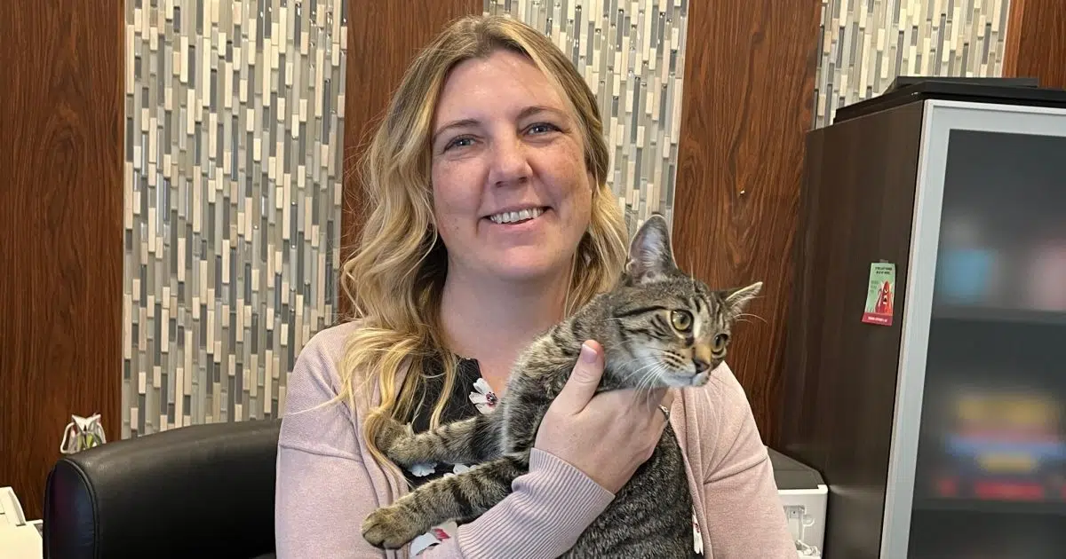 ‘They’re so cute’ Saskatoon office takes in Lucky, Charm from SPCA