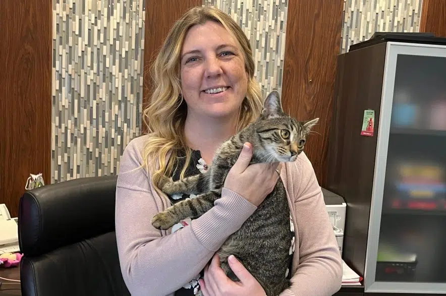 'They're so cute:' Saskatoon office takes in Lucky, Charm from SPCA