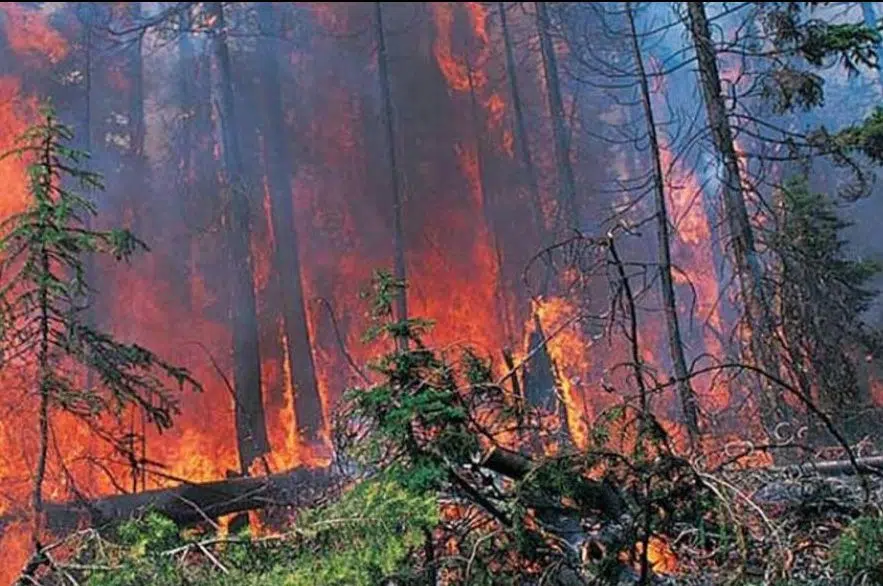 Saskatchewan getting help from Quebec to fight wildfires