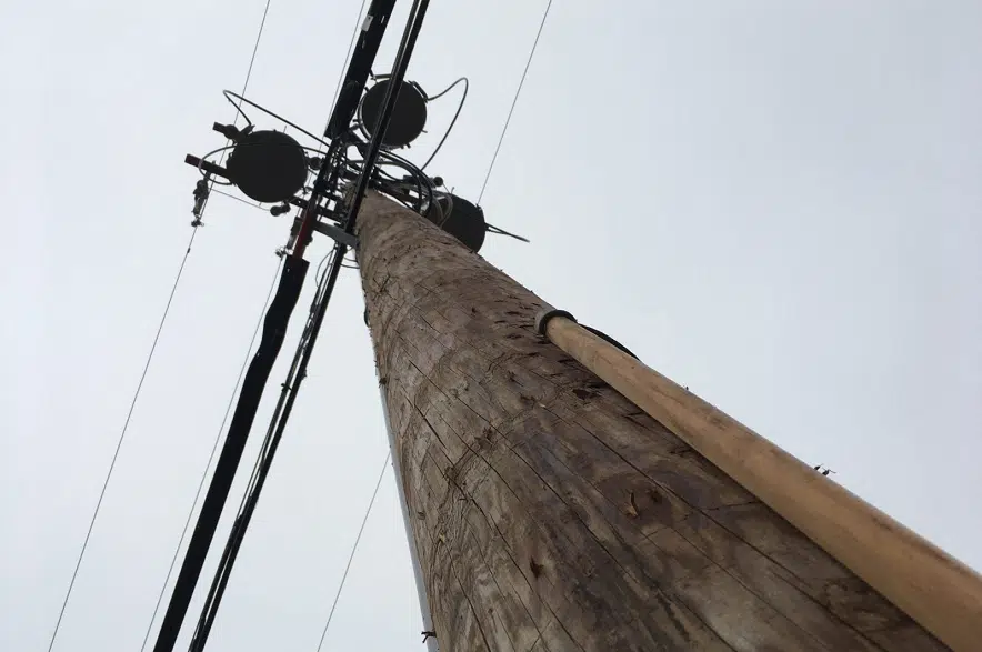 SaskPower to inspect almost 100,000 wooden poles for damage