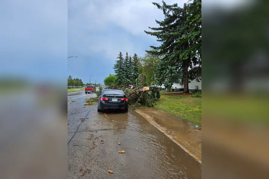 Thunderstorm rolls through Saskatoon, causing flooding and damaging trees