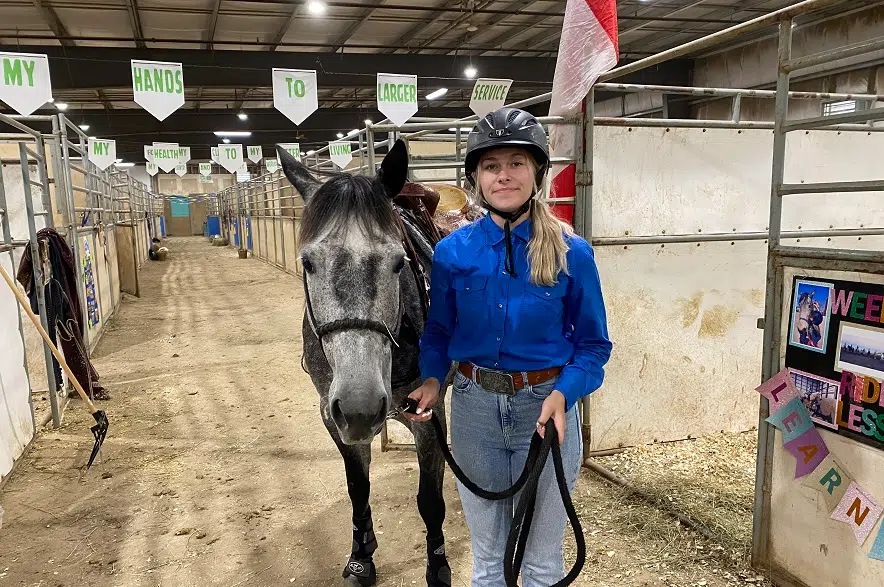 Horse competitions just the beginning for young trainer