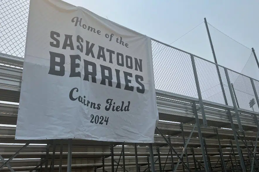 It's a 'berry' great day for Saskatoon's newest baseball team