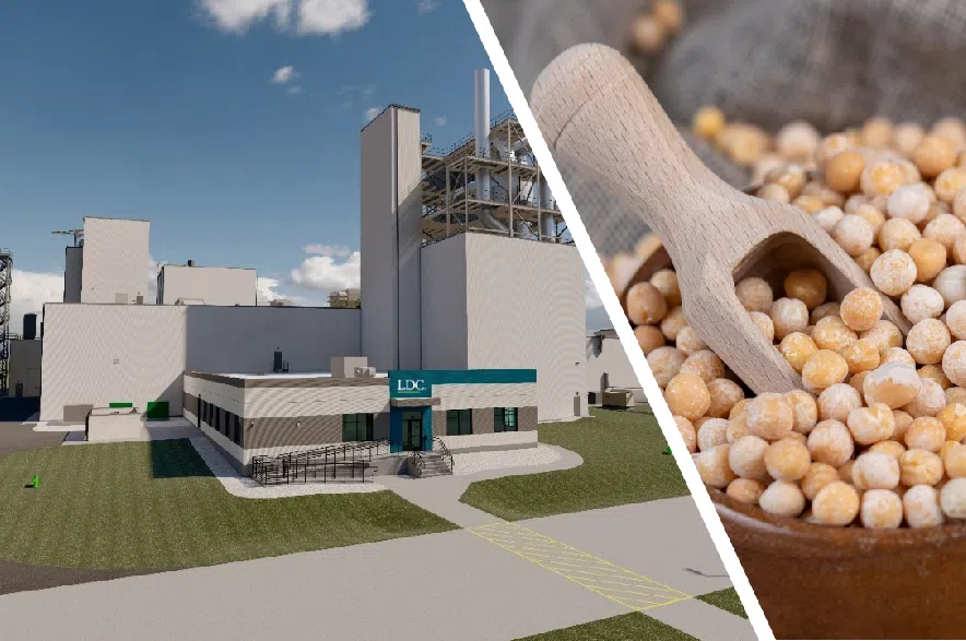 Construction of new pea protein production plant in Yorkton to begin this year