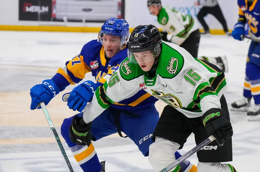 Raiders rally from 2-0 deficit to beat Blades 4-3 in Game 1