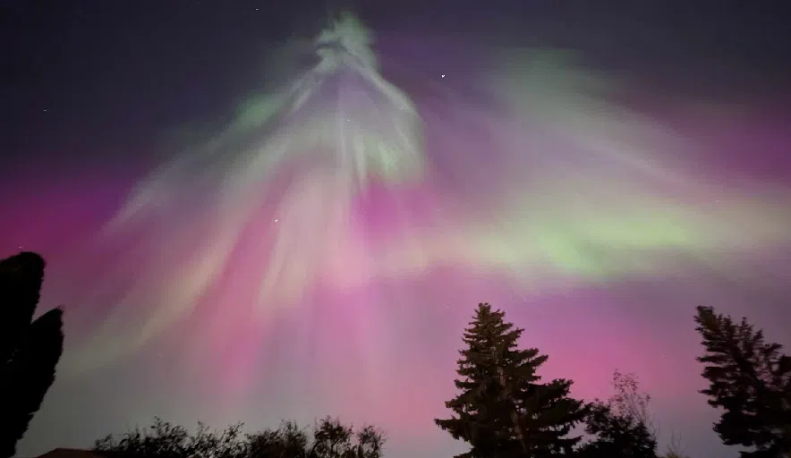 PHOTOS: Northern lights put on spectacular show in Sask. skies