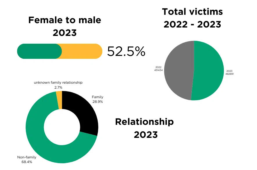 Family violence total victim count overview. (Visual by Céline Grimard/650 CKOM)