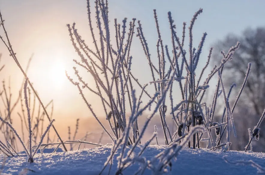 Sunlight on frozen grass.