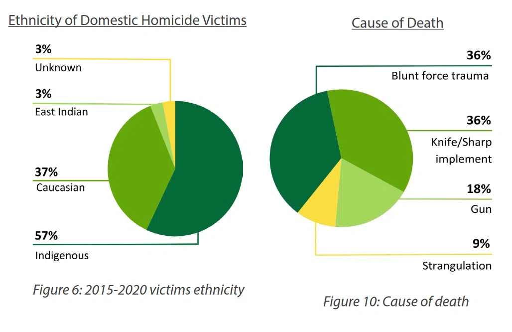 A graph displaying domestic violence data for Saskatchewan.