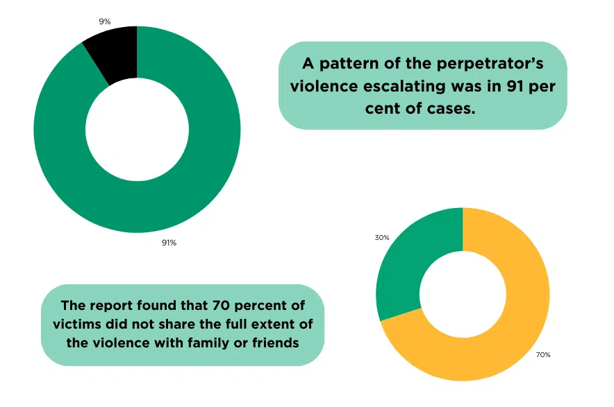 2024 Domestic Violence Death Review Report for Saskatchewan statistics for 11 cases reviewed. (Graphics: Céline Grimard/650 CKOM)