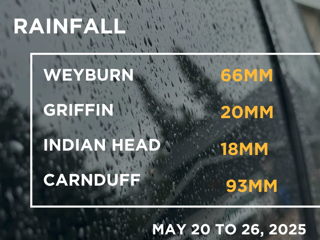 Saskatchewan rainfall for May 20 to 26, 2025. (Photo and graph by Céline Grimard/650 CKOM)