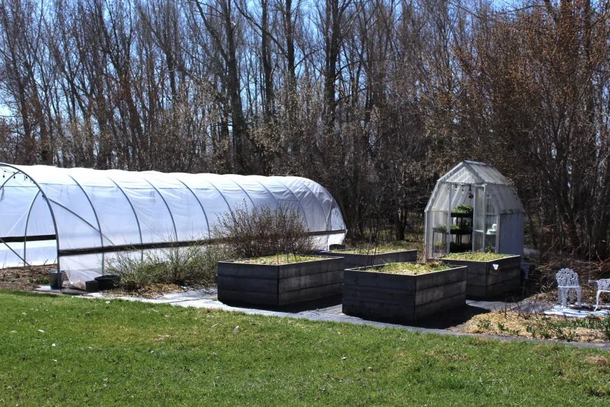 Kristen Raney's garden