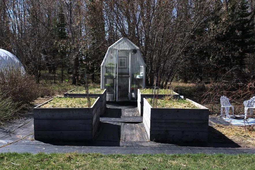 Garden beds with seedlings