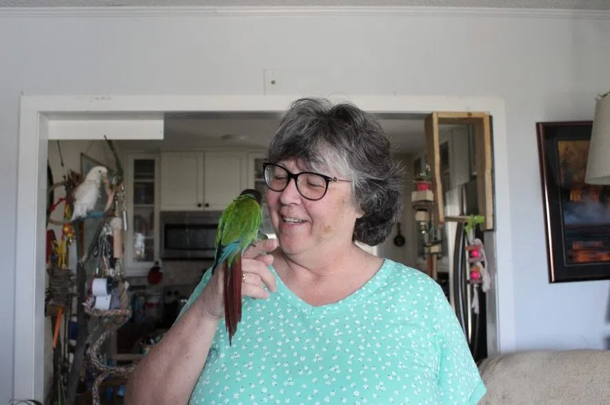 Janet Gibson holding a bird