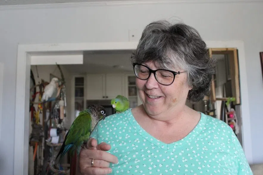 Janet Gibson with three birds