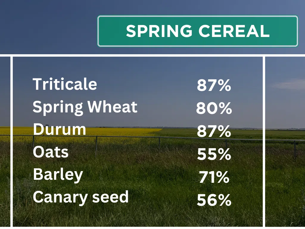 Spring Cereal seeding progress for May 13 to 19, 2025. (Photo and graph by Céline Grimard/650 CKOM)