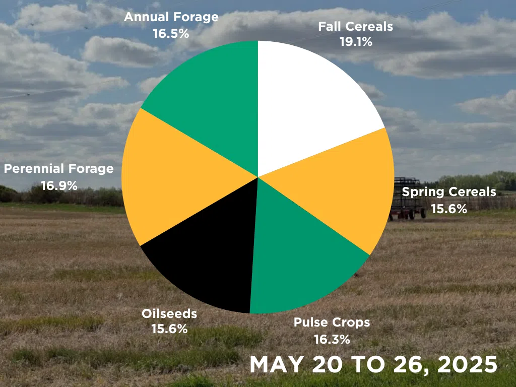 Normal Crop development for this time of year. (Photo and graph by Céline Grimard/650 CKOM)