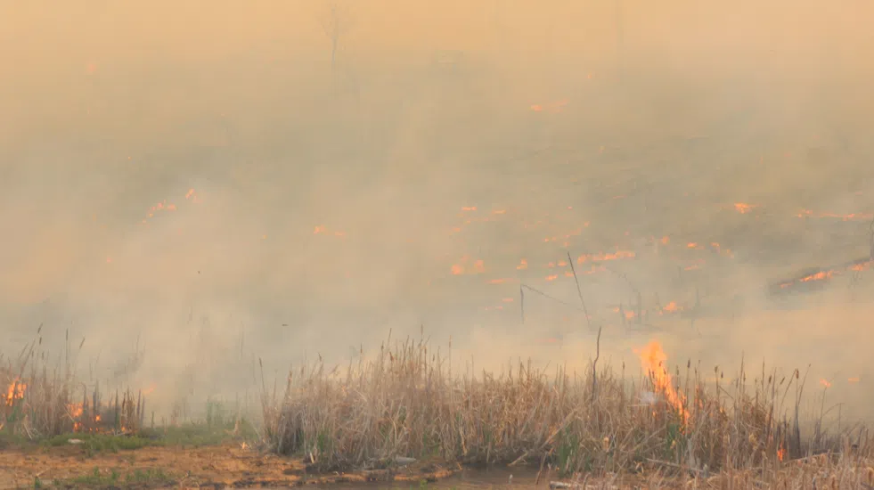 The fire is now listed as contained and fire crews are cleaning up hot spots and monitoring fire lines. (paNOW Staff)