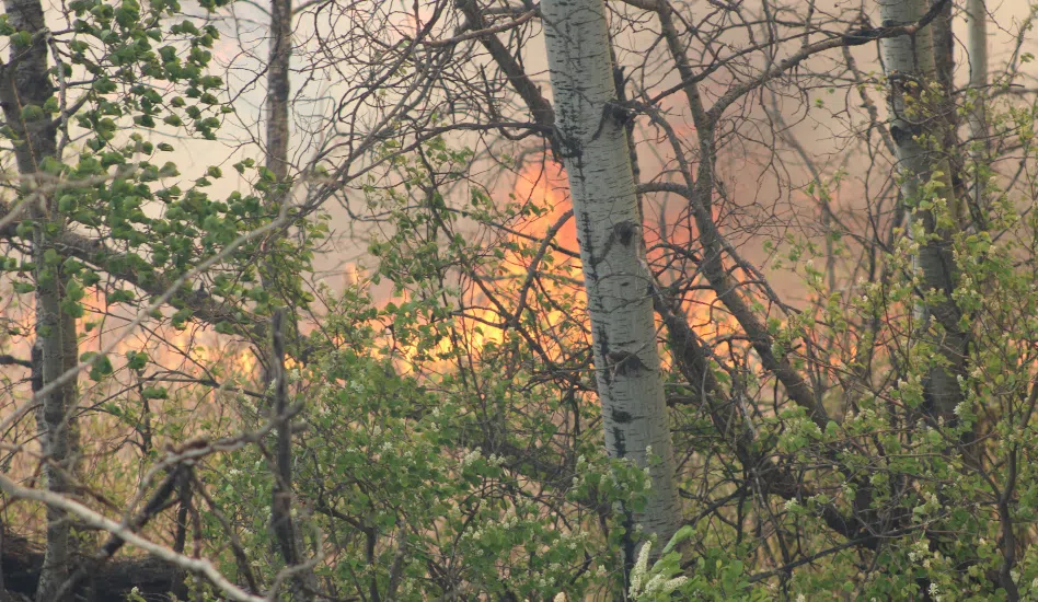 Around 5 p.m. the Rural Municipality of Prince Albert No. 461 issued a pre-alert for possible evacuation. As of 9:30p.m., it was still in place. (paNOW Staff)