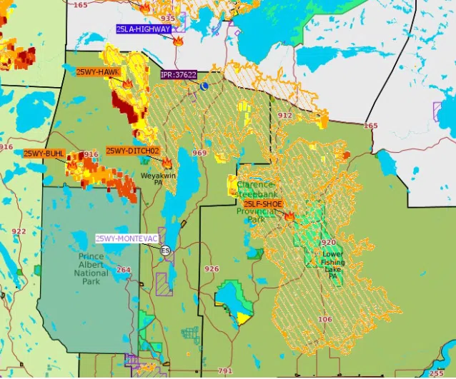 Location of the Buhl Fire on July 14, 2025.
