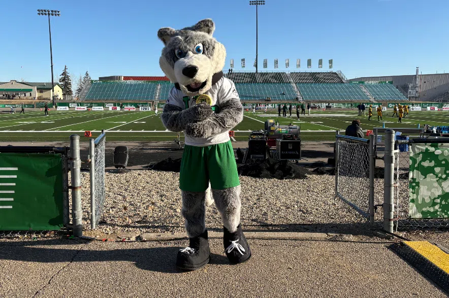 U of S Huskies mascot Howler.