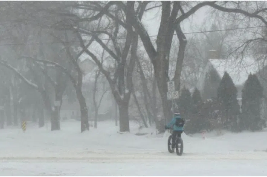 snowy day in Saskatoon