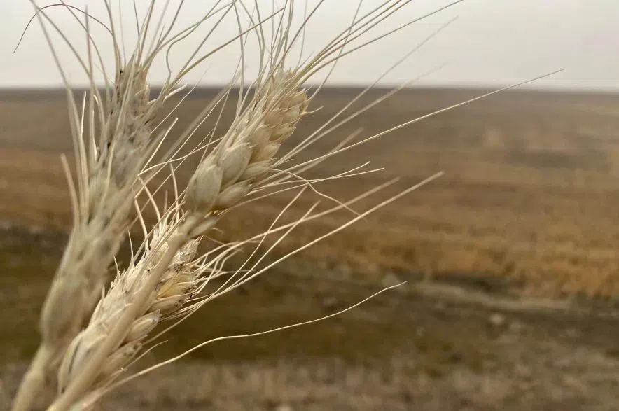 Cuts at federal agriculture centres will set sector back, union and farm groups say