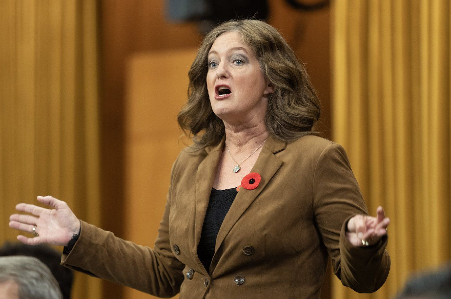 Liberal MP Lisa Hepfner has introduced a private member's bill to curb parental alienation claims.