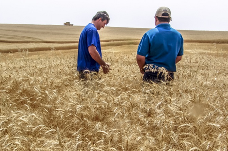 Two farmers standing in a field, with a combine harvester behind them.
