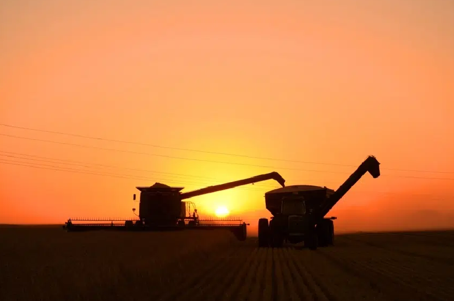 A combine and grain truck working on harvest on a Saskatchewan farm at sunset.