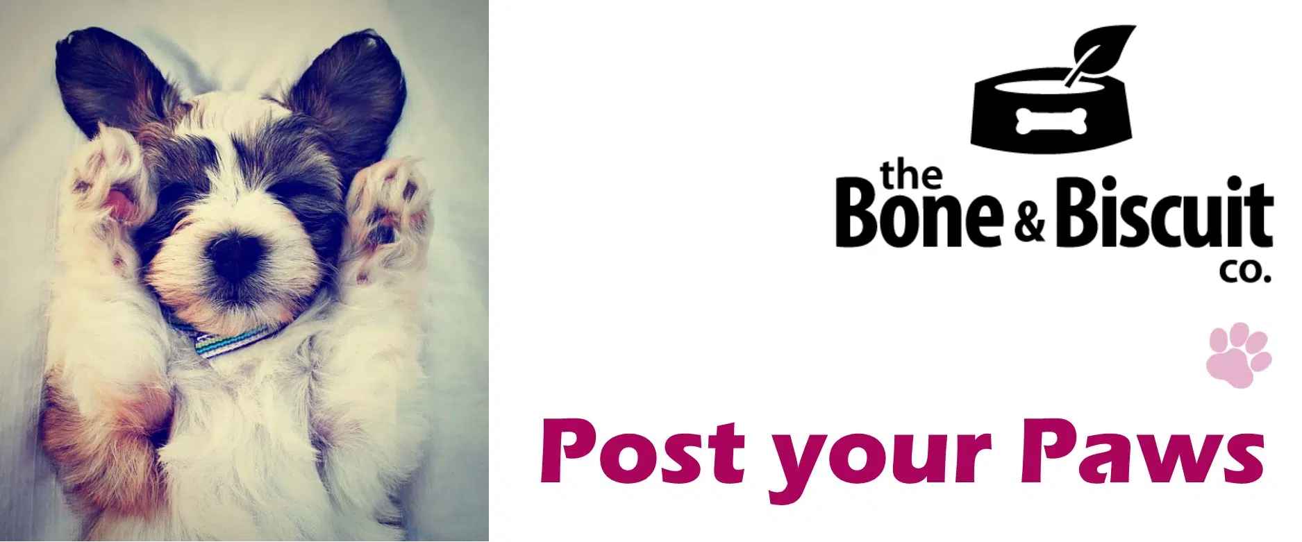 Post your Paws Fridays with the Bone & Bisquit