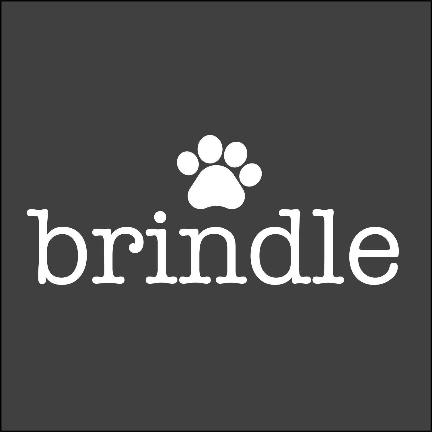 Brindle Pet Supplies BIG105.fm