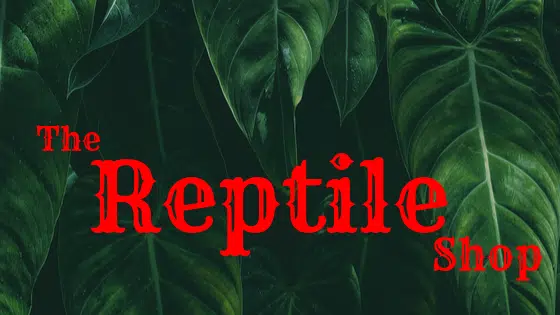 The Reptile Shop