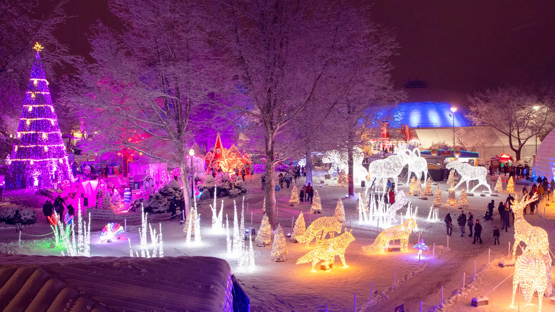 Where to see the best christmas lights in vancouver (2025 guide) 15 Image