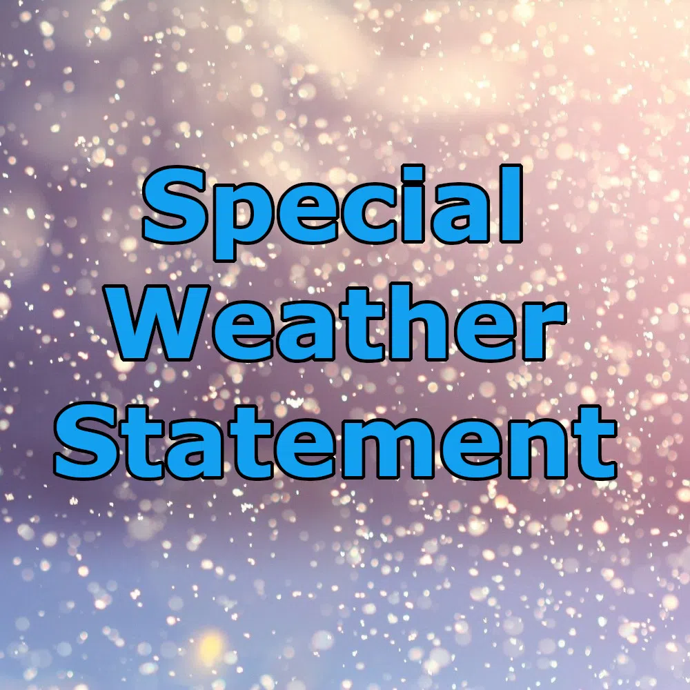 Special Weather Statement in effect for Brazeau County