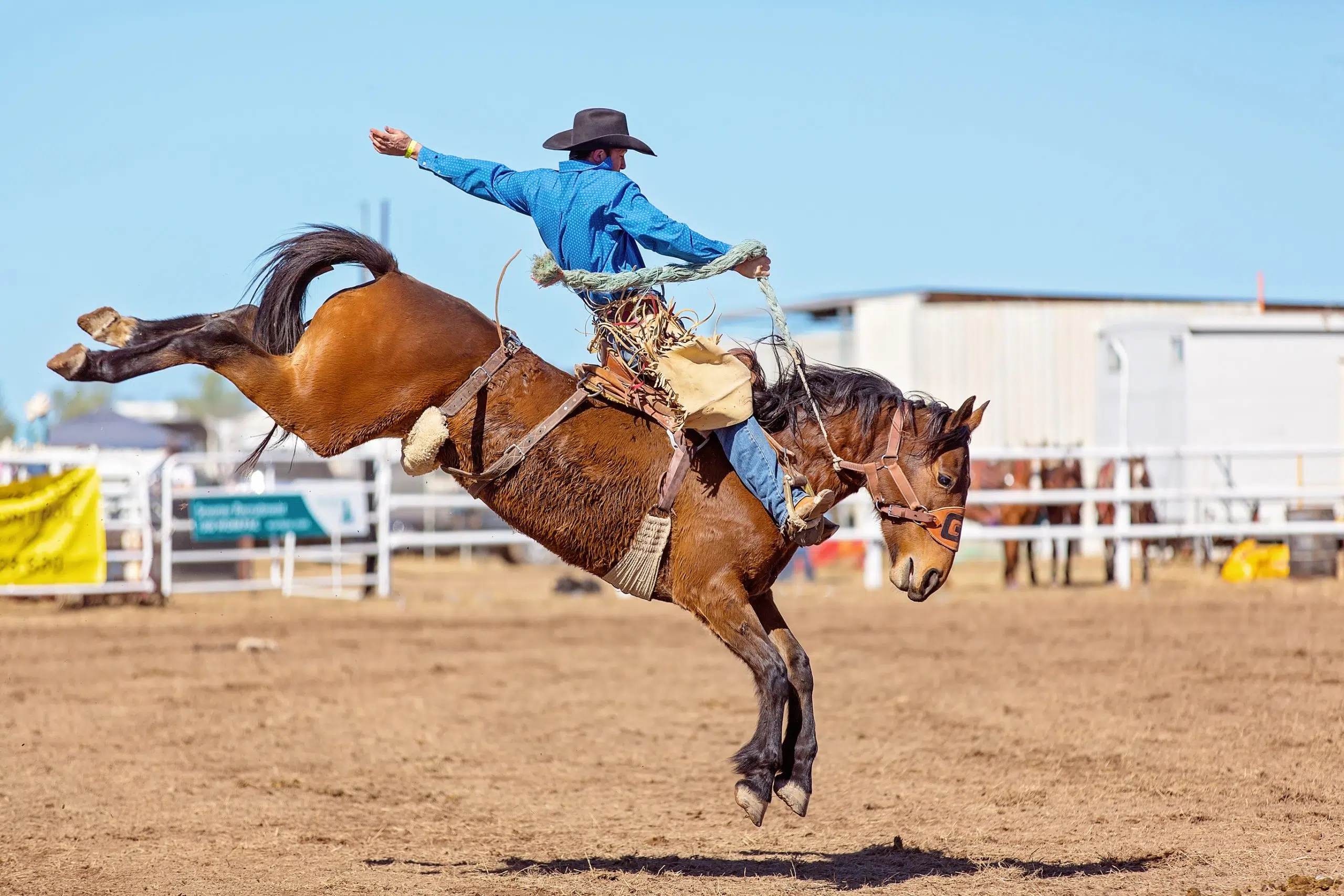 Drayton Valley Pro Rodeo set for 2022