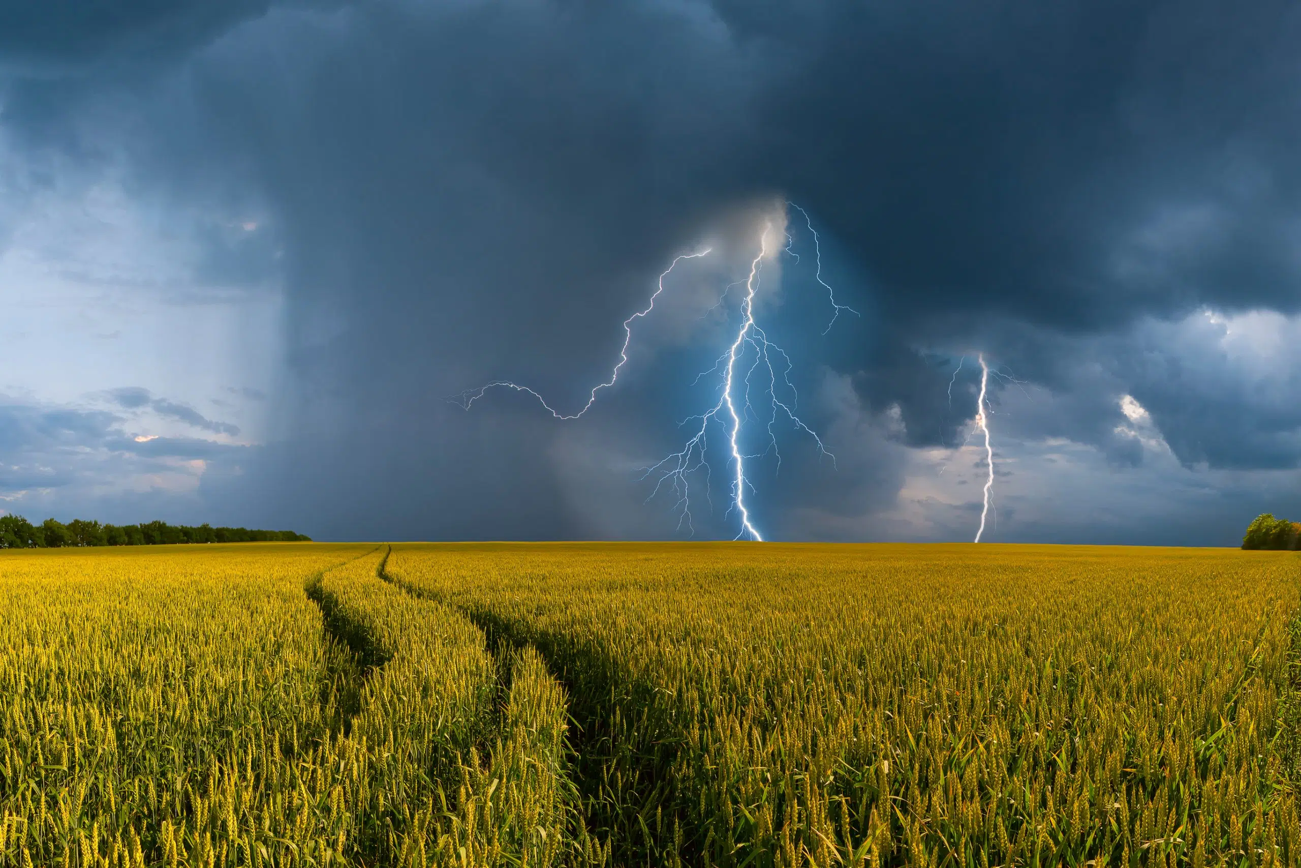 Severe thunderstorm watch issued for Drayton Valley and Brazeau County