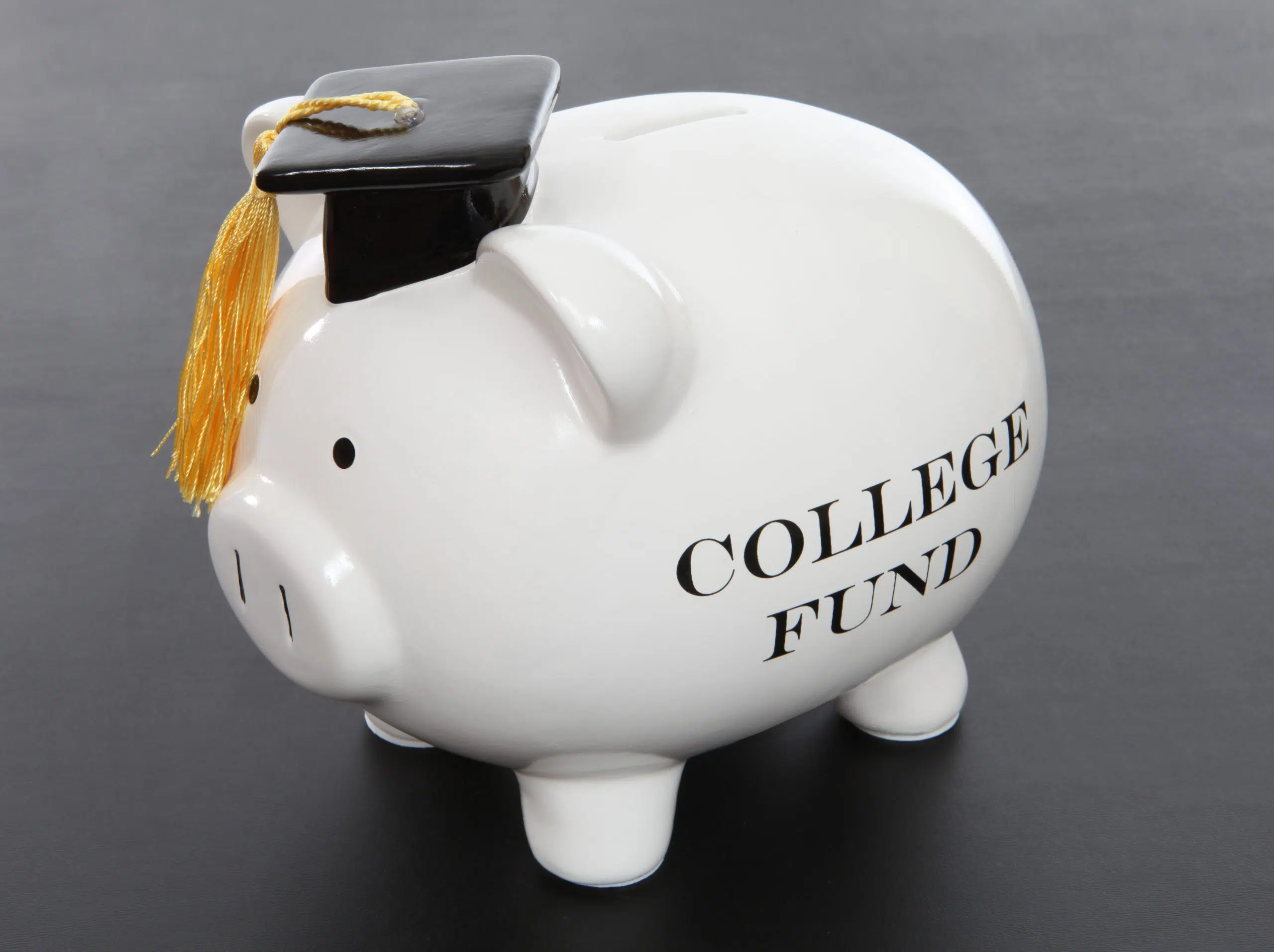 Town of Drayton Valley offering another Zero Fee Tuition Program