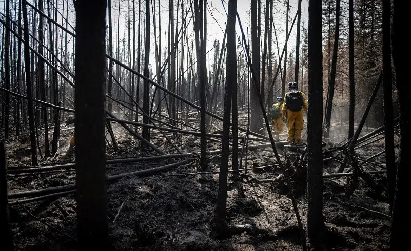 Local updates on wildfires and evacuation orders: May 15