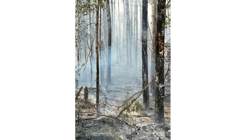 Local updates on wildfires and evacuation orders: May 23
